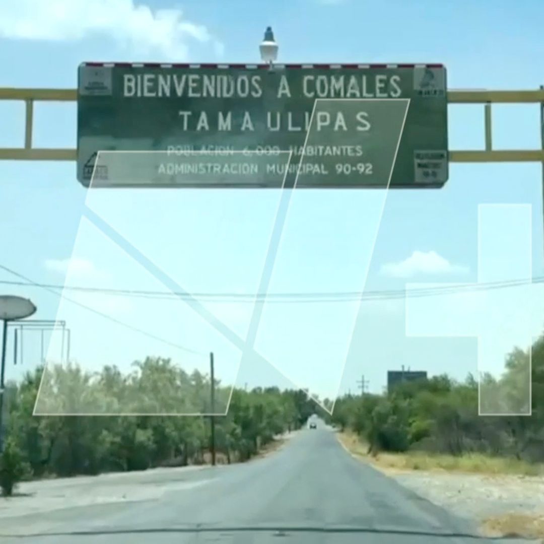 Hallan sin Vida a Jimena Guadalupe, Menor de 2 Años Desaparecida en Tamaulipas